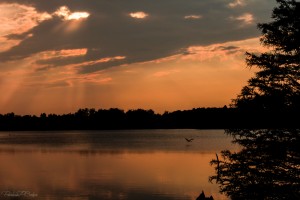 12513 - Jacobsen Lake Sunset jpg small 8