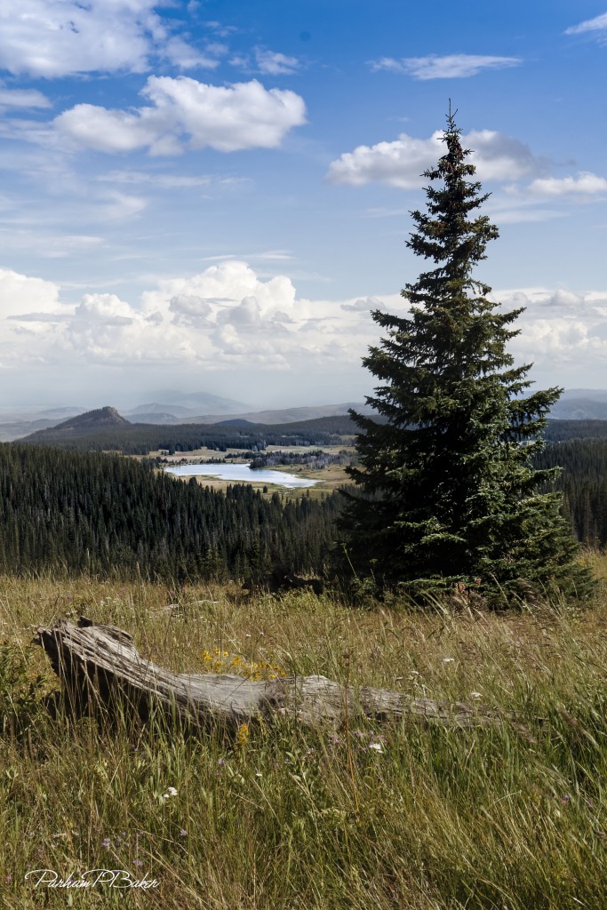 Distant Dumont Lake and Mountains Parham P Baker Photography