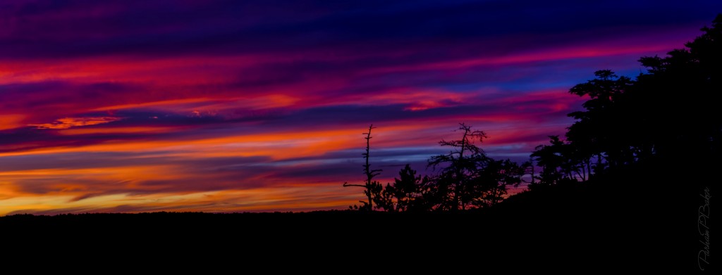 Sunset on Auxier Ridge Saddle, Red River Gorge Parham P Baker Photography