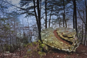 Rock on Cumberland Gap - Parham P Baker Photography